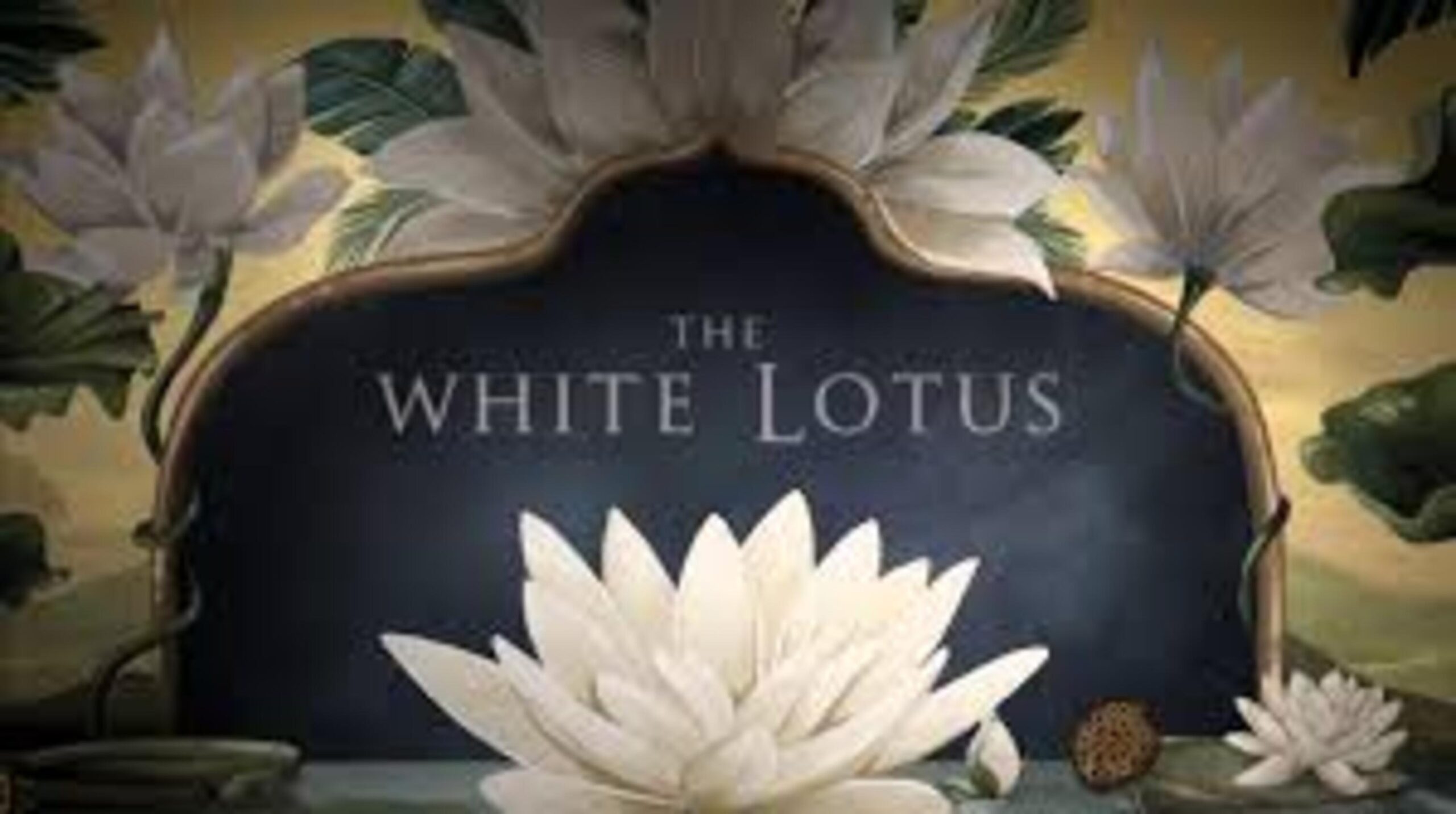 the-white-lotus